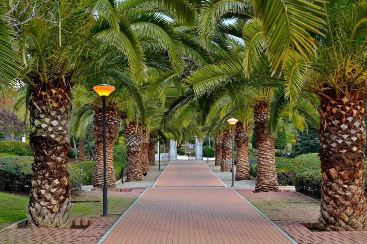 Top Floor Studio Benalmadena